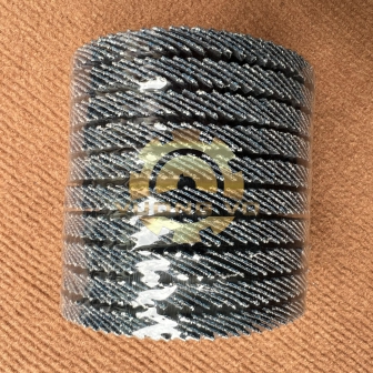 Nhám Xếp Xanh HP 4"